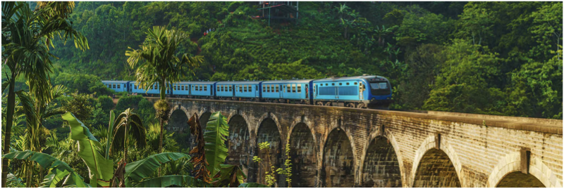 TR-Ocak-225. Tur 8 Günlük Sri Lanka-Standart